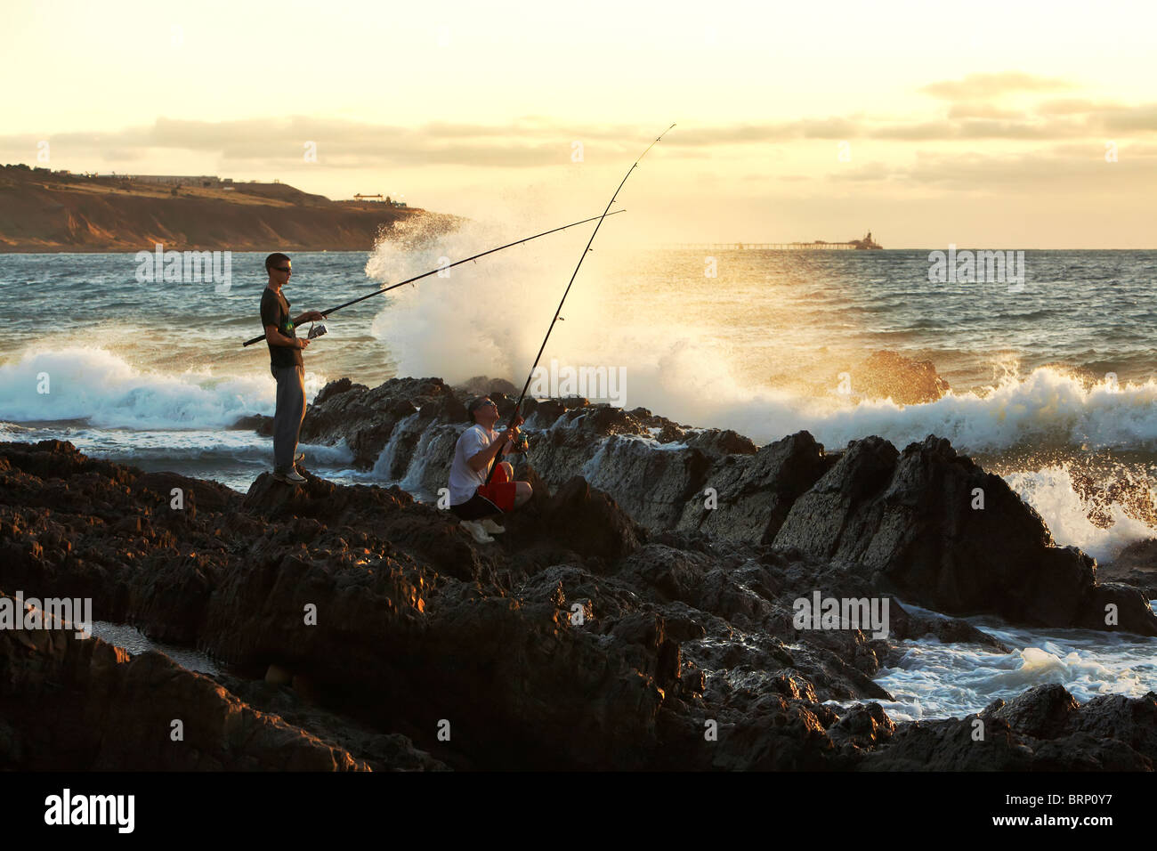 Rock, Angeln Hallett Cove Adelaide South Australia Stockfoto