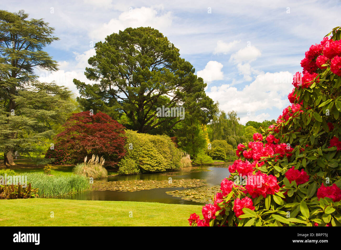 Die schönen Gärten des Sheffield Park in East Sussex, Südengland Stockfoto