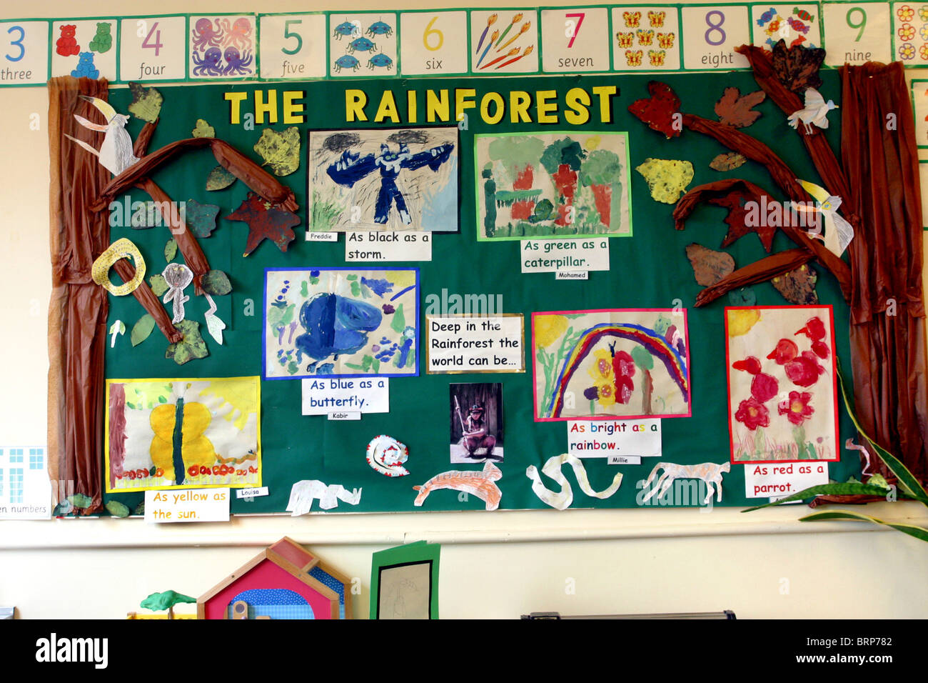 Primäre Anzeigetafel zeigt zeigen Kinder Kunstwerk inspiriert durch Bilder des Regenwaldes Stockfoto