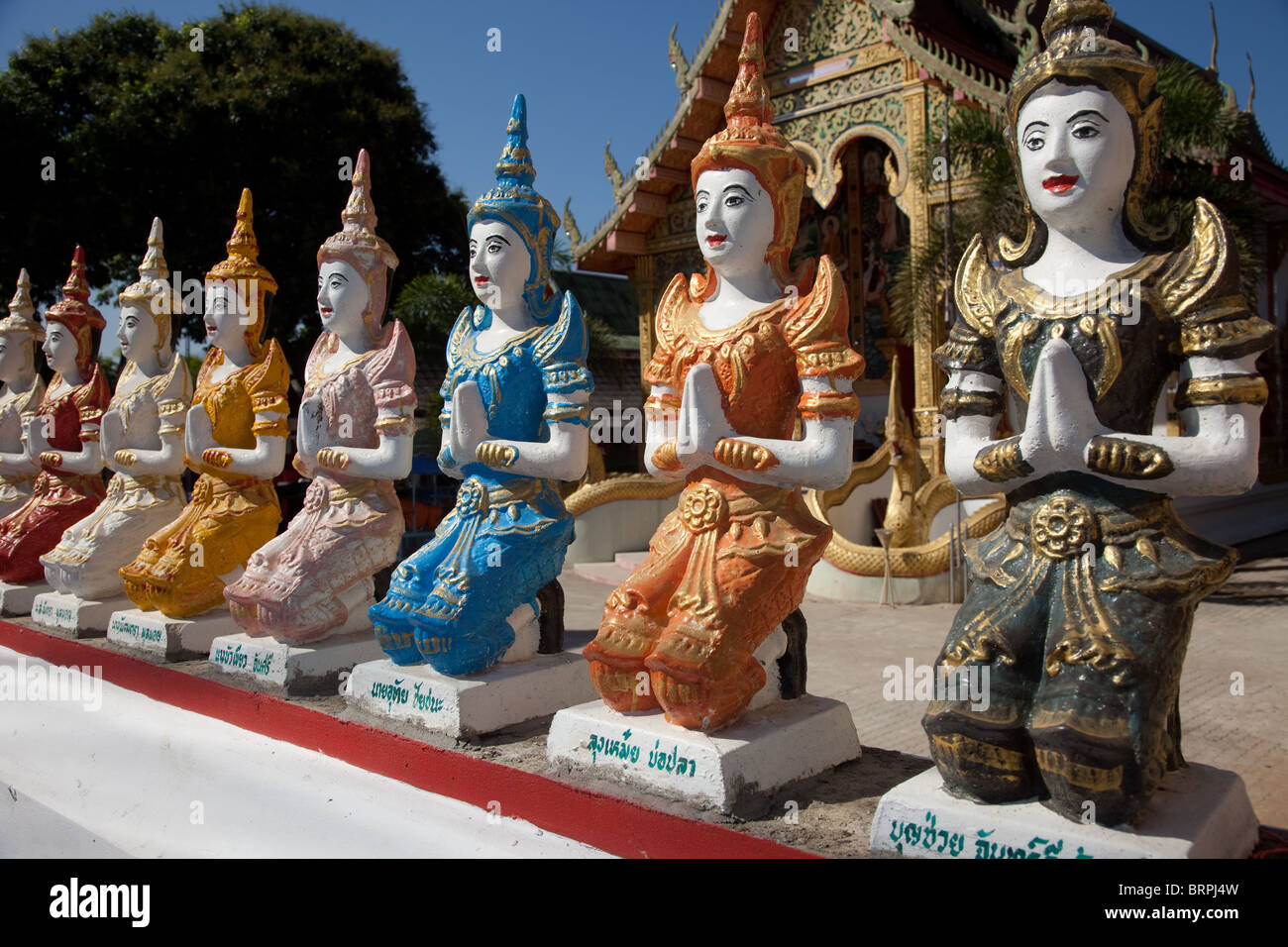 Reihe von mehreren gemalt knienden Figuren  Temple Statue Sockelfiguren Mae Taeng, Chiang Mai, Nord-Thailand, Asien Stockfoto