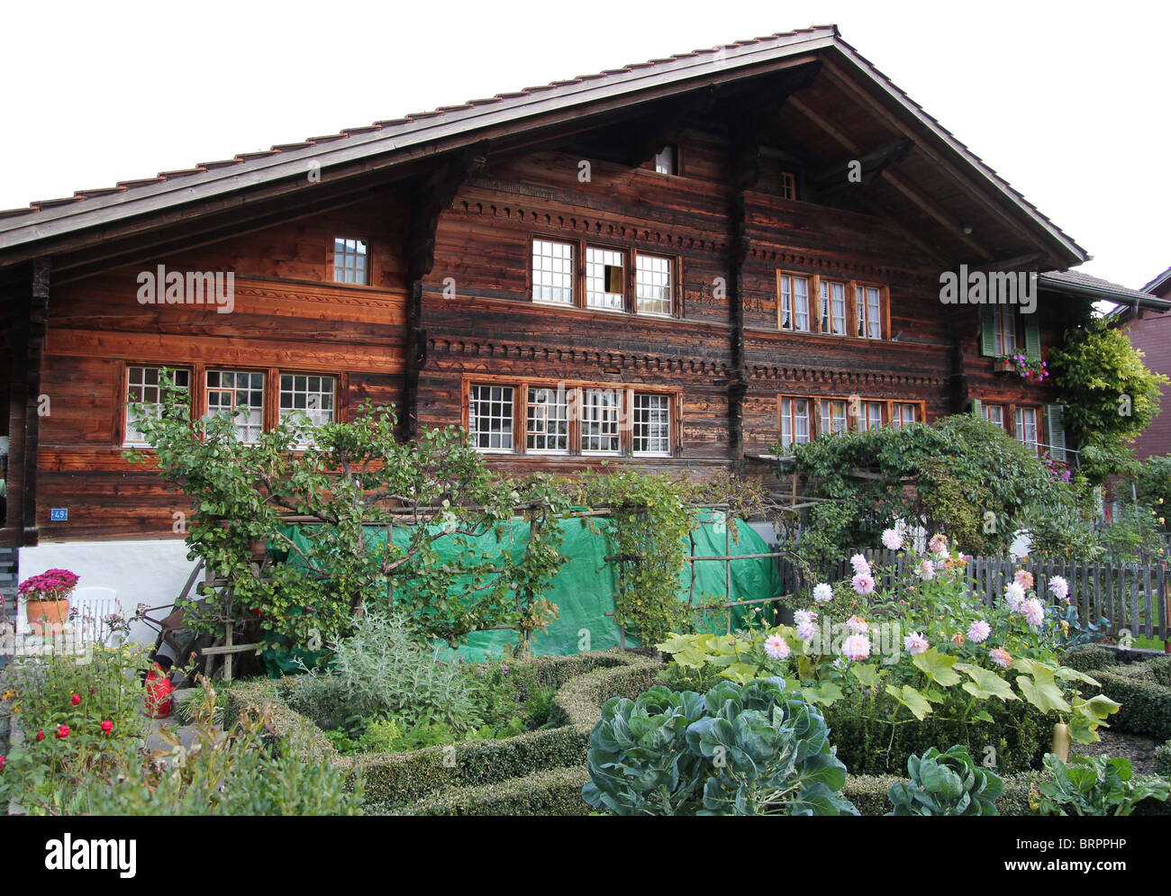 Altes Schweizer Haus mit Holzschnitzerei und Küchengarten in Wilderswil Berner Oberland Schweiz Stockfoto