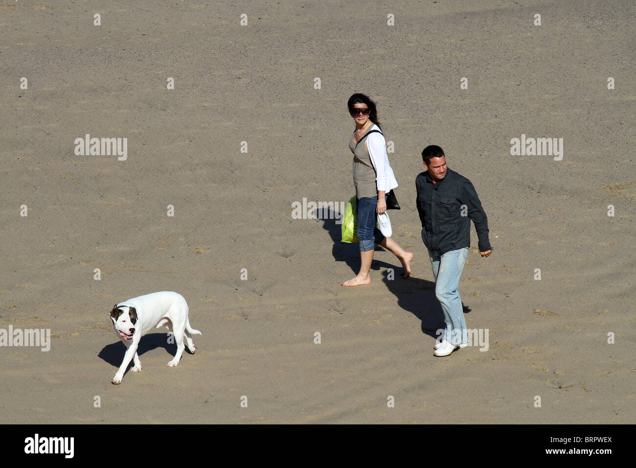 Ein paar ihren Hund am Strand spazieren Stockfoto