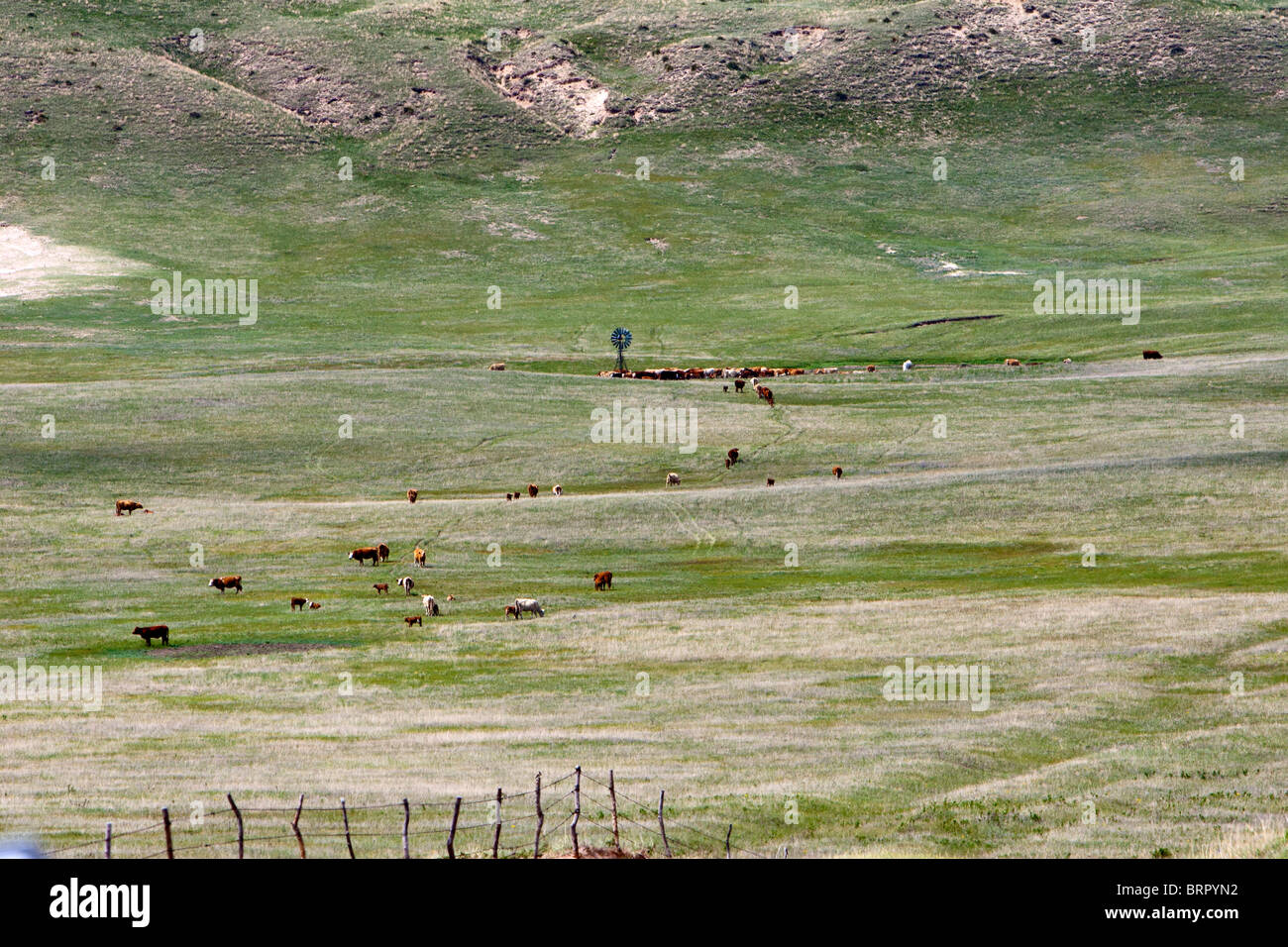 Eine rollende Rasen schlicht in den Sandhills von Nebraska, Mai 29.. 2010. Stockfoto