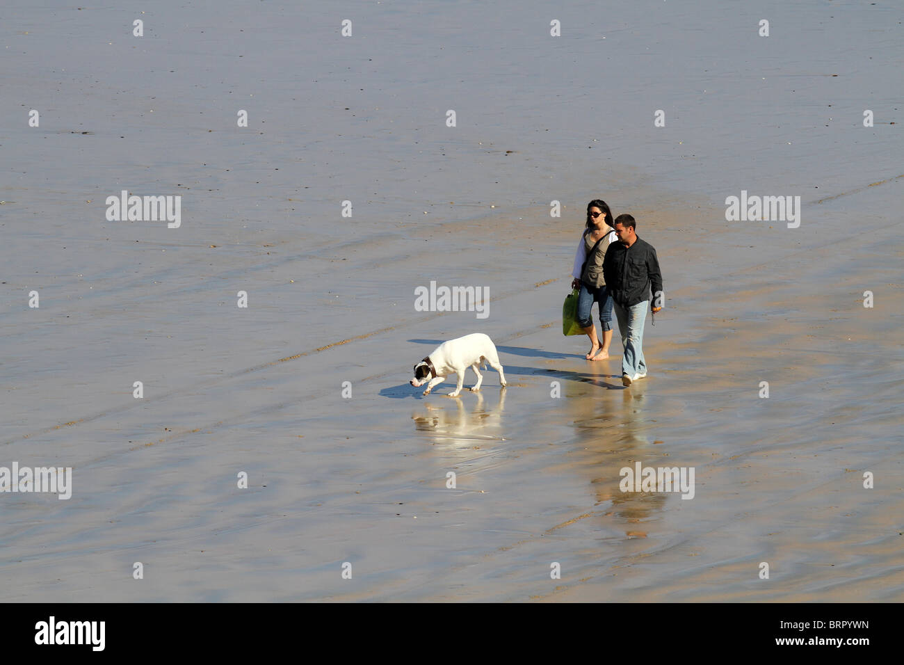 Ein paar ihren Hund am Strand spazieren Stockfoto