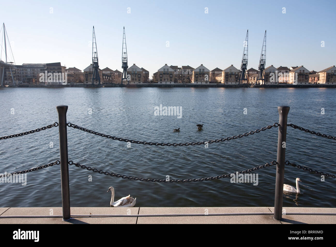 Royal Victoria Dock Millennium Mühle Wasser Fluss Themse London Vereinigtes Königreich. Foto: Jeff Gilbert Stockfoto