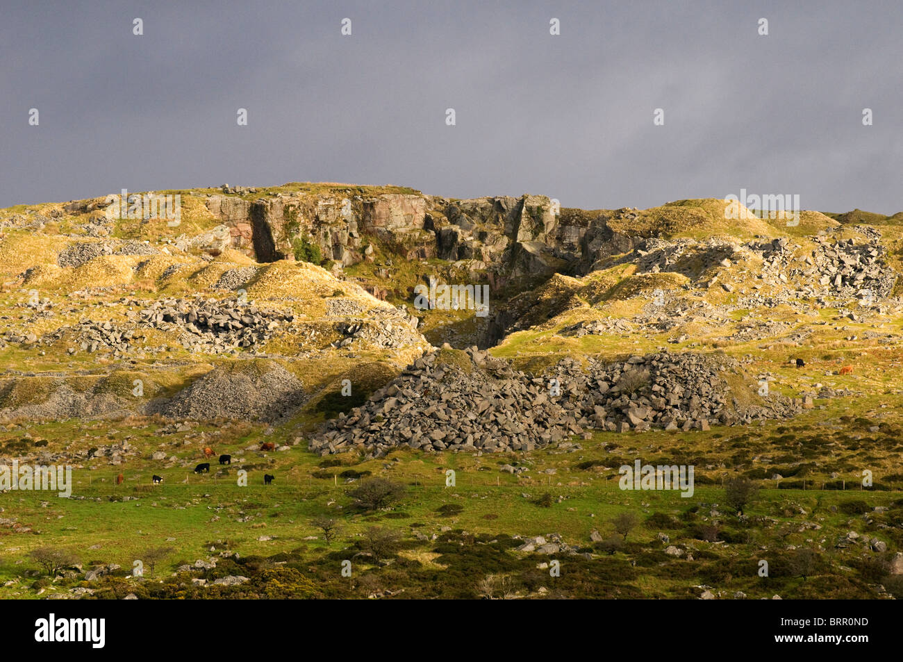 Swell Tor und Steinbruch verderben Haufen auf Dartmoor, Devon UK Stockfoto