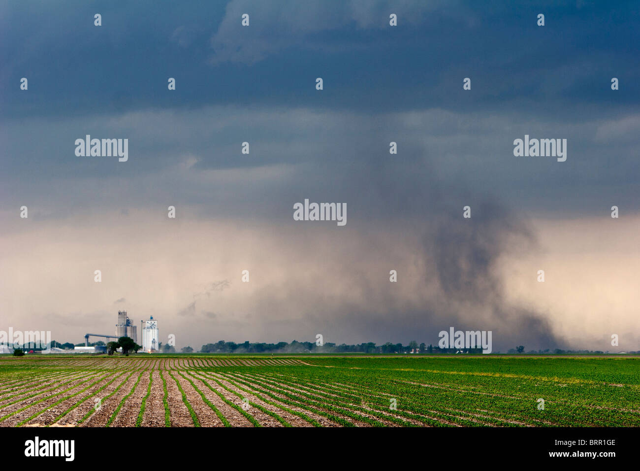 Eine schweren Gewitter pflügt sich eine riesige Wolke aus Staub am Horizont im ländlichen Nebraska 1. Juni 2010. Stockfoto