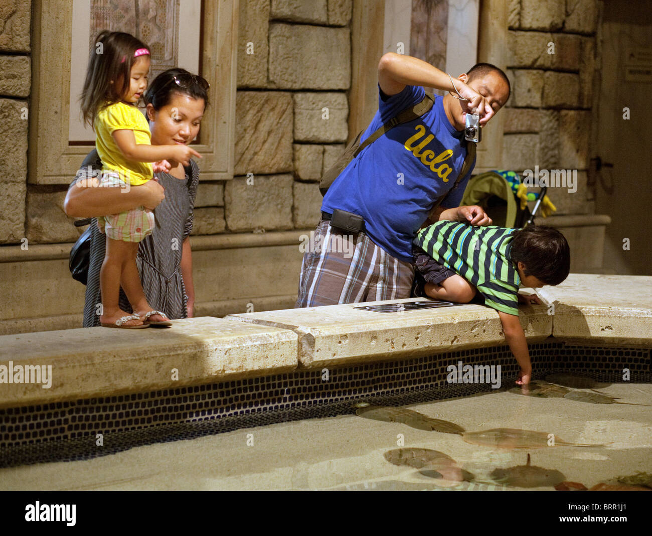 Eine Familie mit Kindern berühren Fisch, Shark Reef Aquarium, Mandalay Bay Hotel, Las Vegas USA Stockfoto