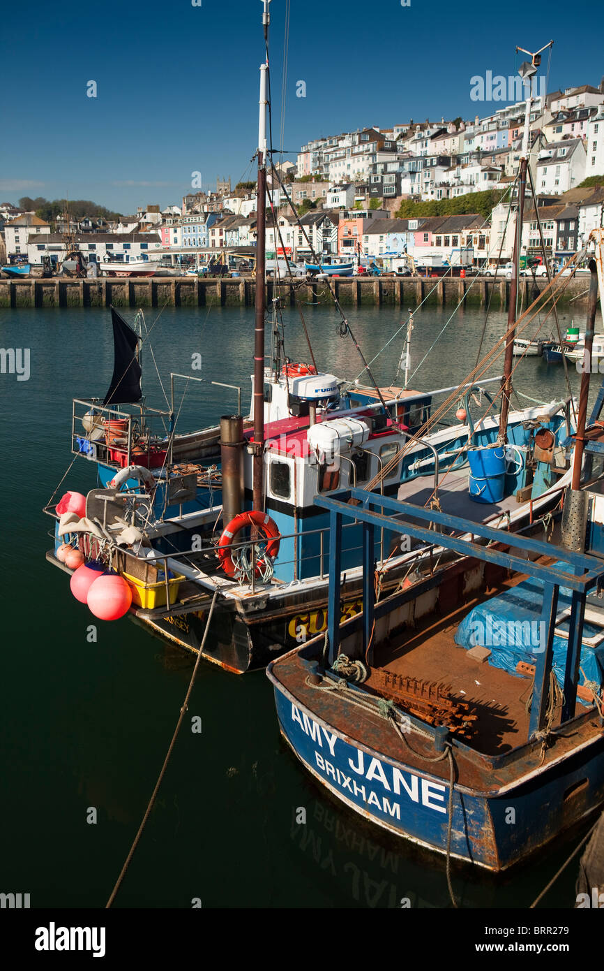 Großbritannien, England, Devon, Brixham Angelboot/Fischerboot vor Anker im Hafen Stockfoto