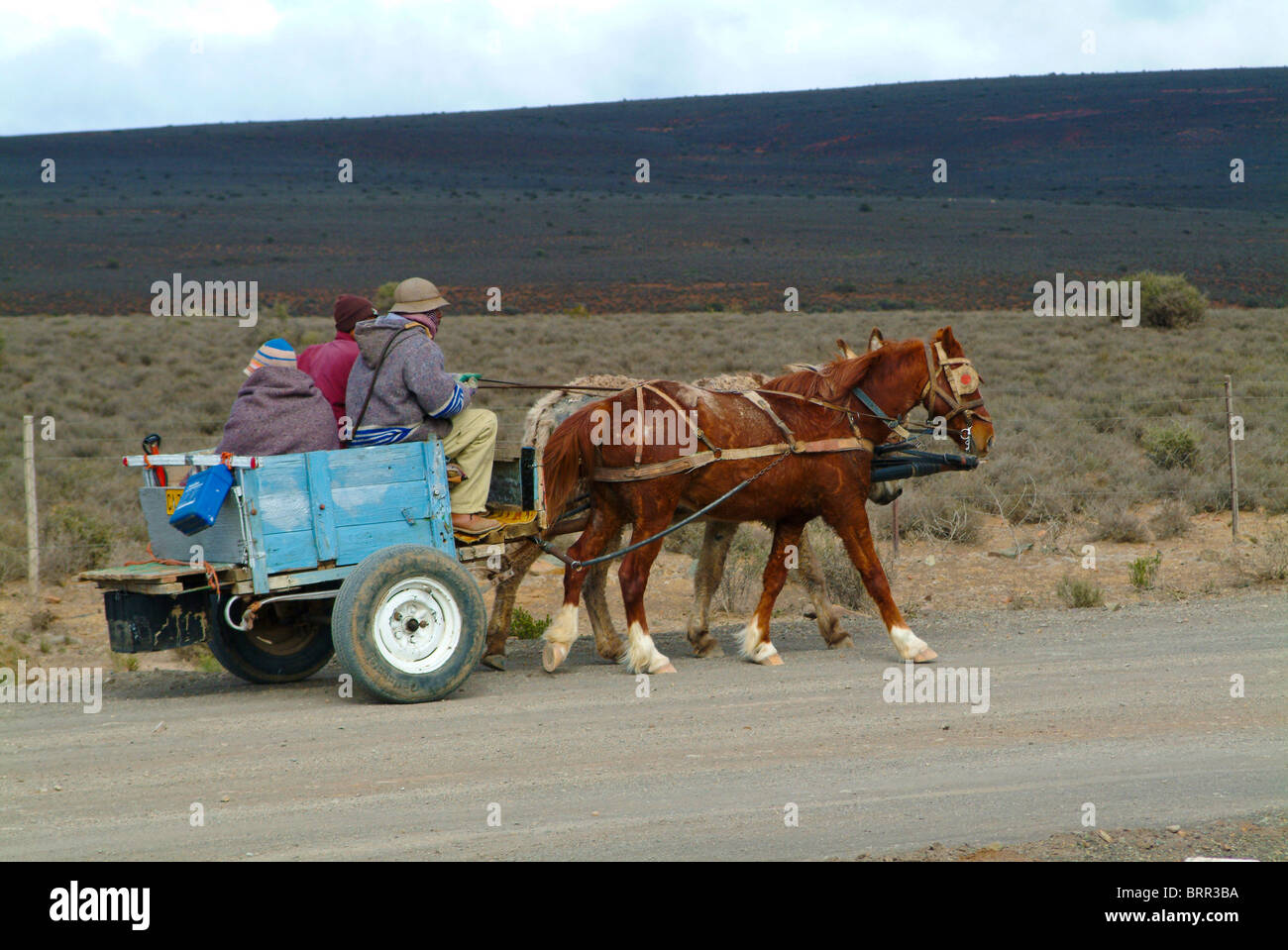 Warenkorb auf der staubigen Landstraße gezogen von einem Pferd und einem Esel Stockfoto