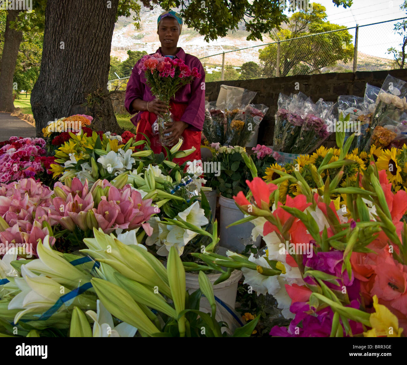 Eine Blumenverkäuferin zeigt eine Vielzahl von frischen Schnittblumen Stockfoto