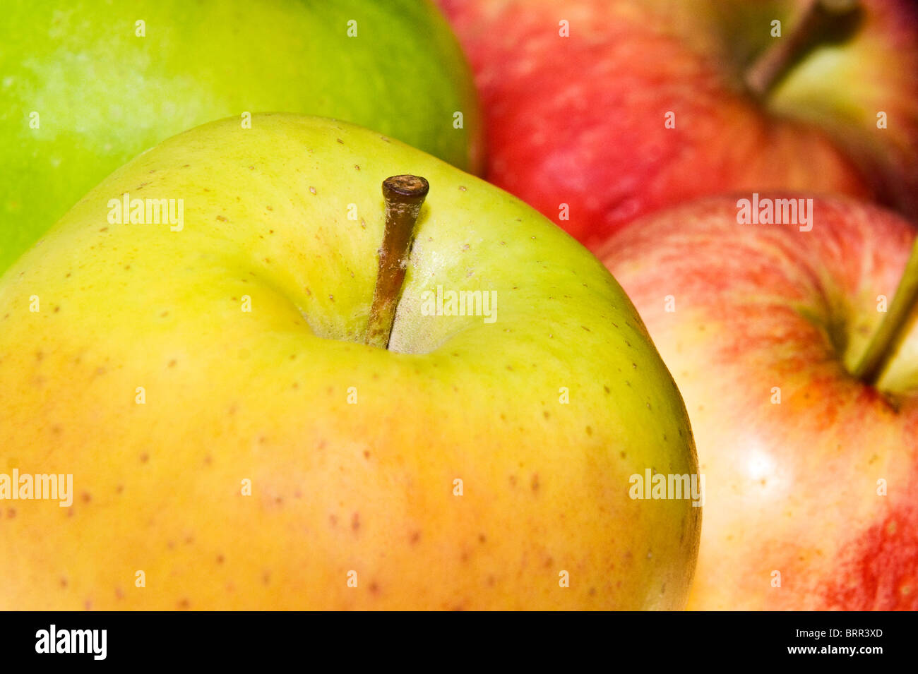 Close-up Studioaufnahme von vier verschiedenen Sorten von Äpfeln Stockfoto