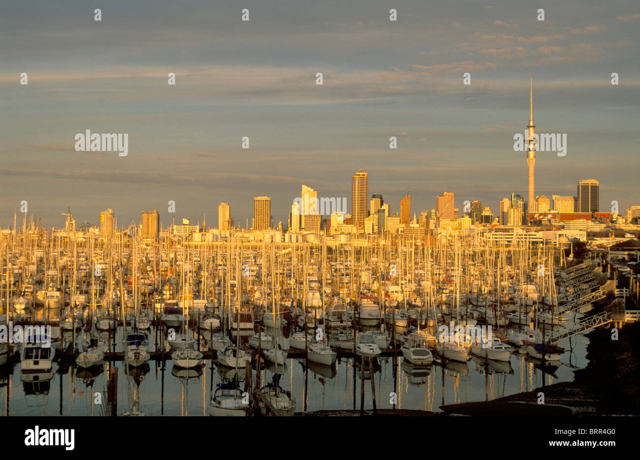 Yacht-Hafen und Stadt Skyline am späten Nachmittag Stockfoto