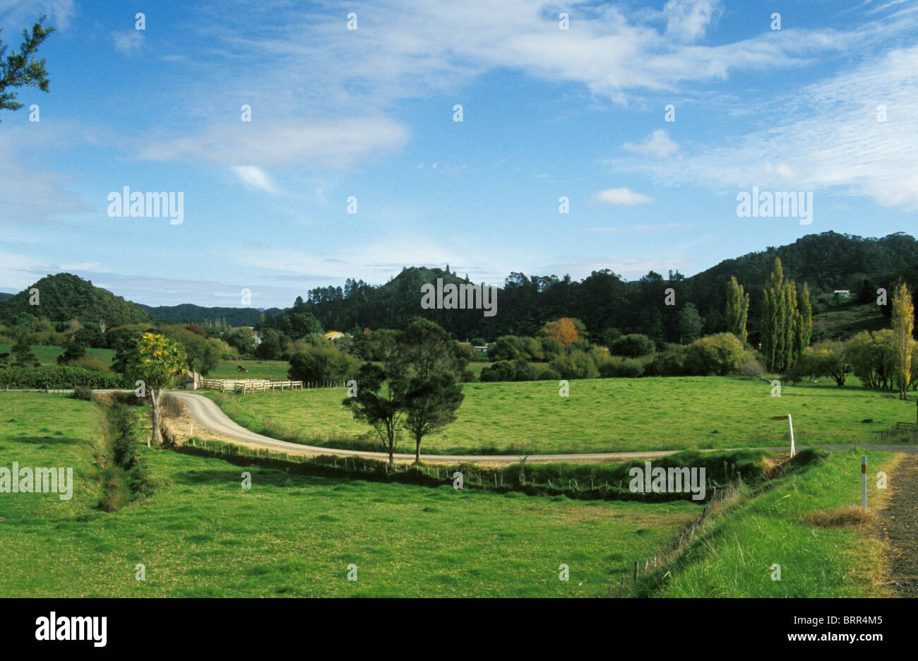 Landwirtschaftliche Landschaft Stockfoto