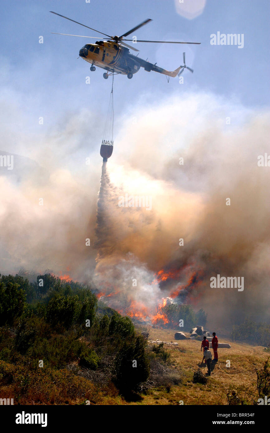Hubschrauber, die Wasser-Bombardierung ein Feuer auf dem Tafelberg Stockfoto