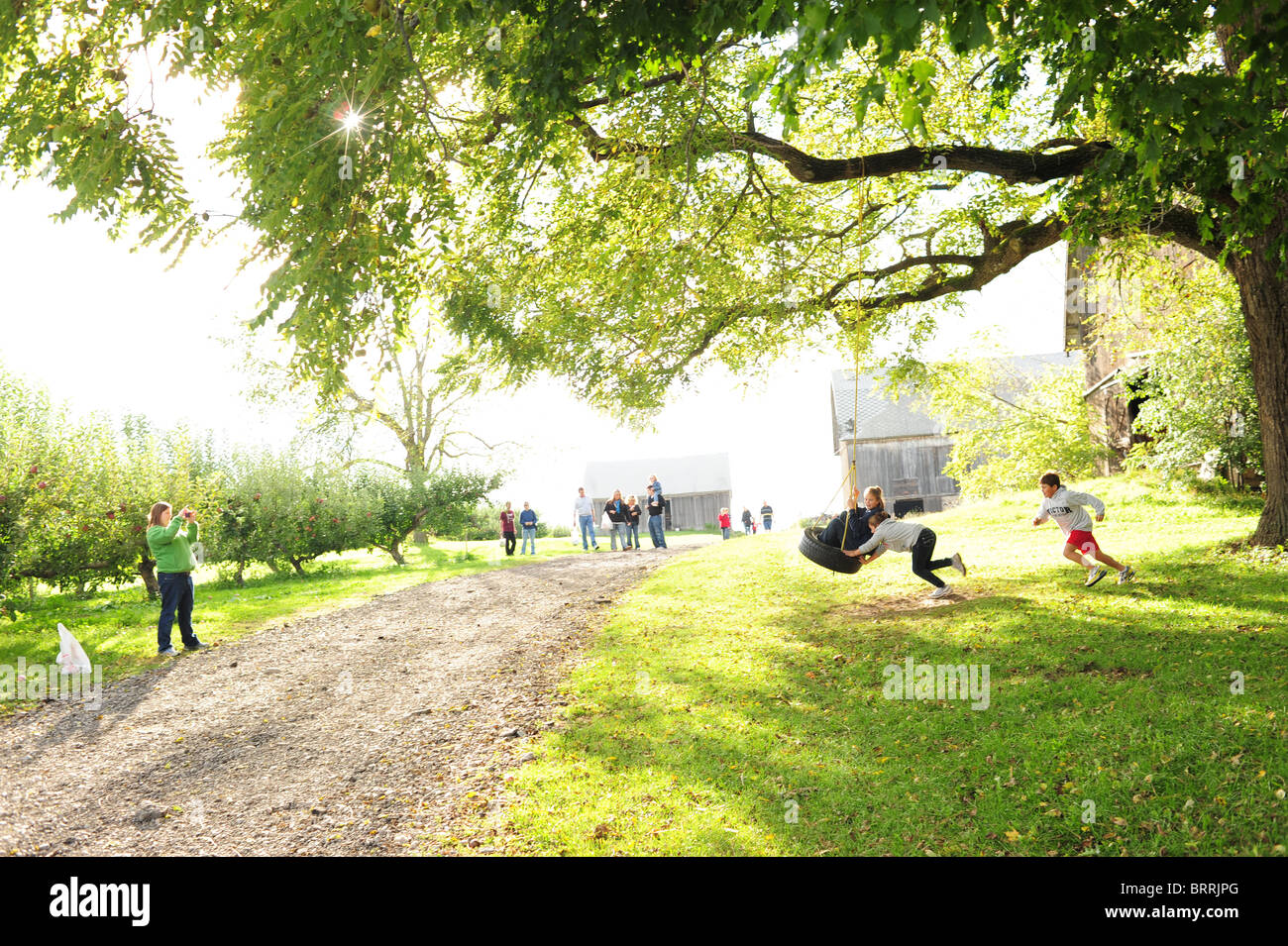 USA New York Victor NY Finger Lakes Region Herbst Herbst Kinder spielen auf einem Reifen im Apfelgarten schwingen - Erntezeit Stockfoto