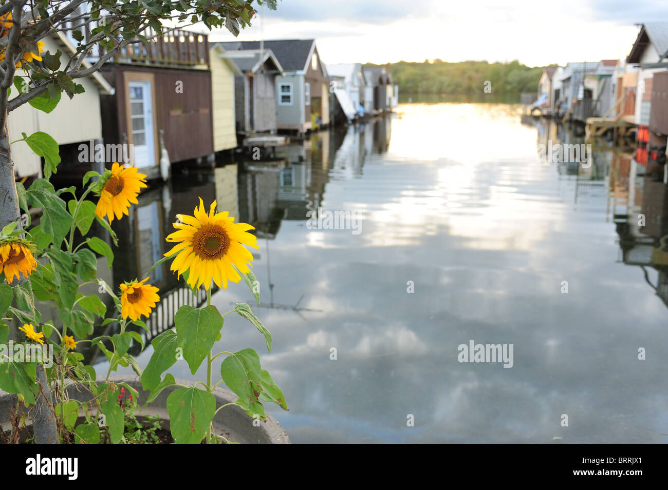 USA New York NY Canandaigua Region der Finger Lakes - Hausboote am See Hafen Stockfoto