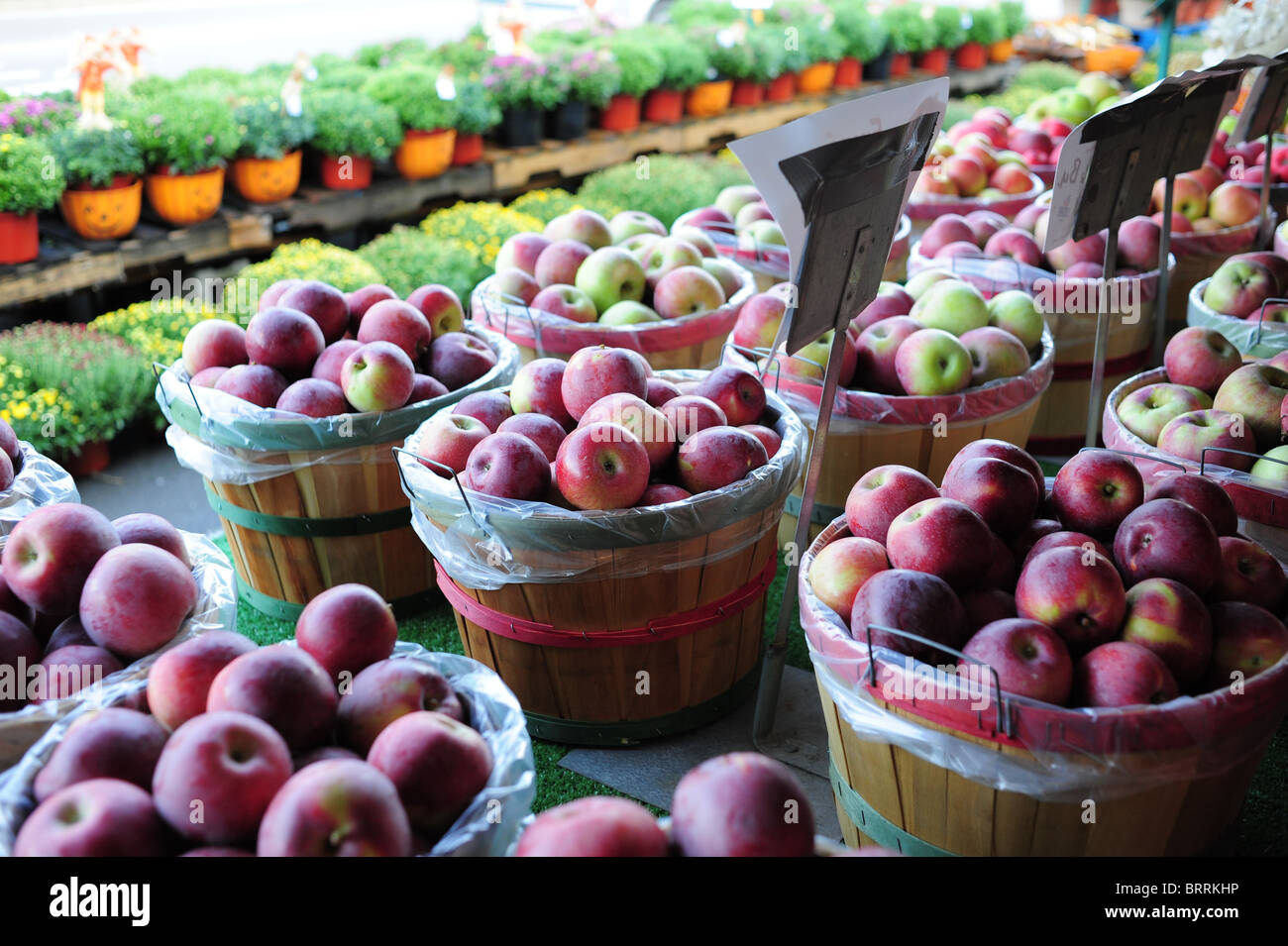 USA New York Neapel NY Äpfel an Josephs Strecke produzieren Marktstand - Finger Lakes Region Canandaigua Lake Stockfoto