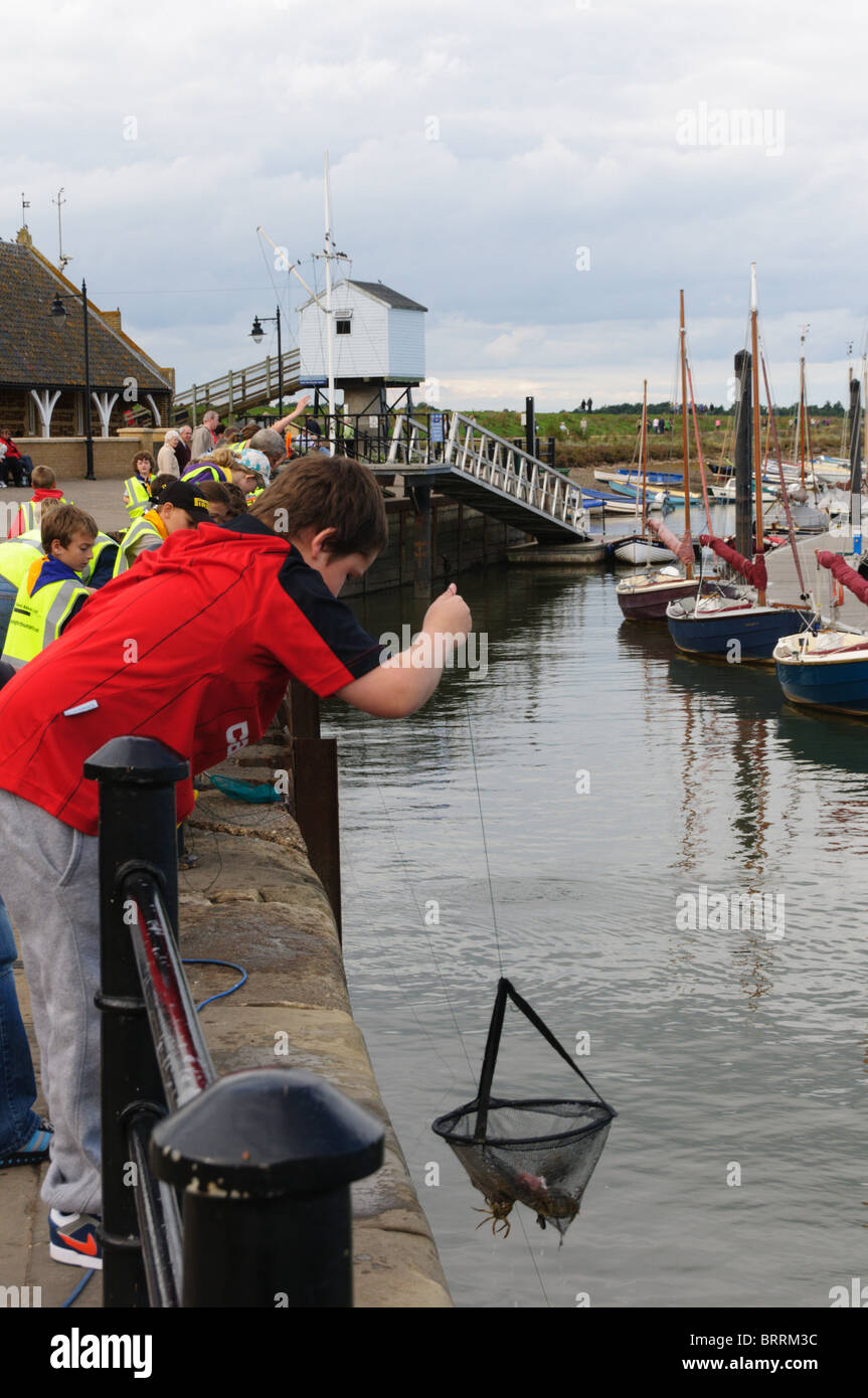 Ein Junge Angeln für Krabben aus dem Hafen von Wells-Next-the-Sea in Norfolk, England Stockfoto