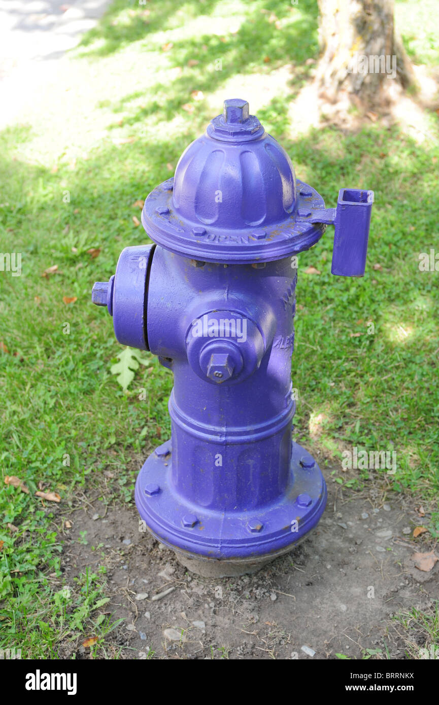 USA New York NY Finger Lakes Region Neapel lila oder Traubensaft farbigen Hydranten am Straßenrand Stockfoto