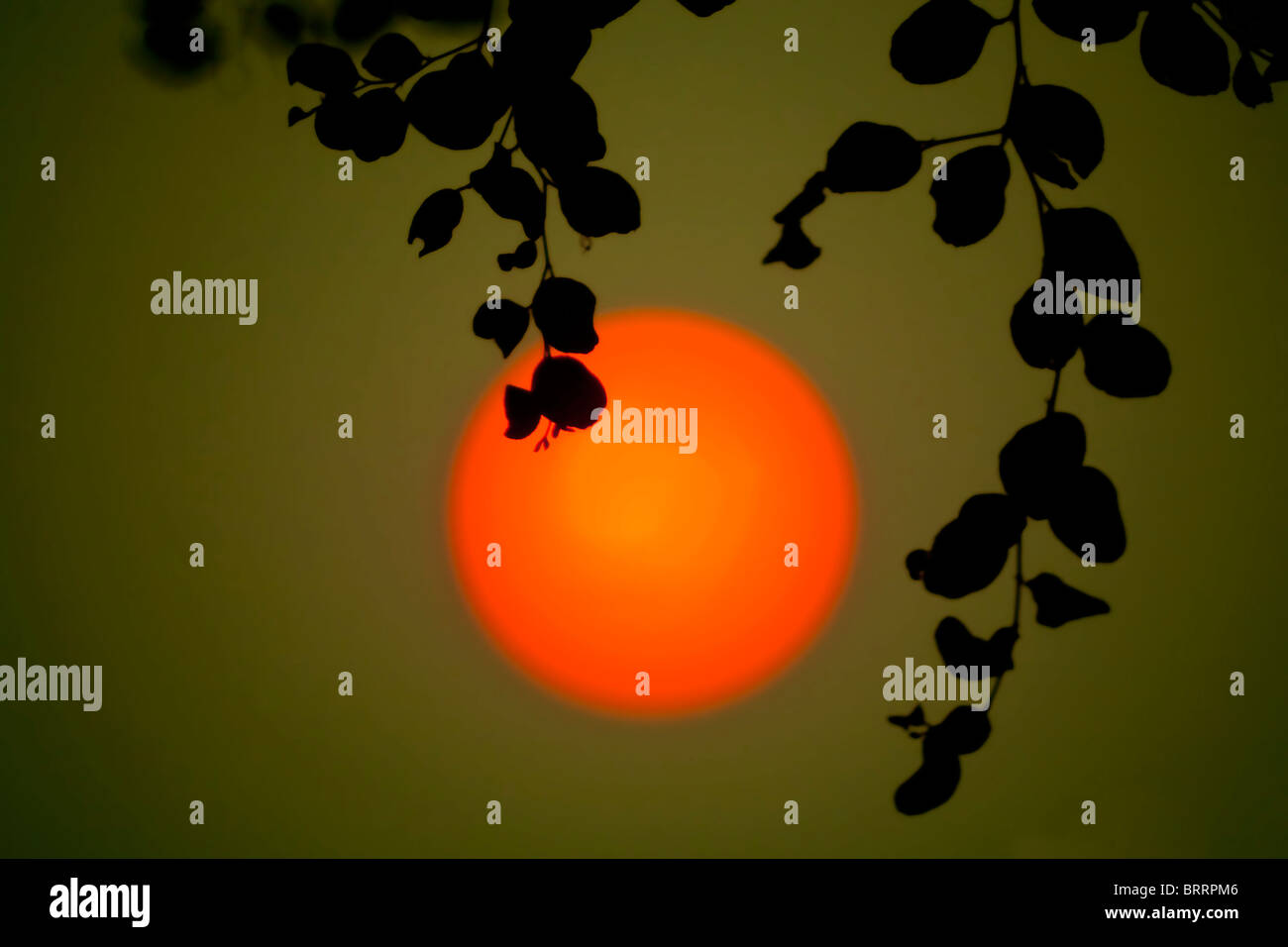 Eine große Orange-rote Sonne hängt in einer dichten Atmosphäre kurz vor Sonnenuntergang. Stockfoto