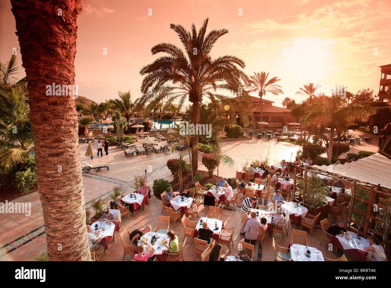 Kanarischen Inseln, Teneriffa, Costa Adeje, Luxus-Badeort, Gartenwirtschaft Stockfoto