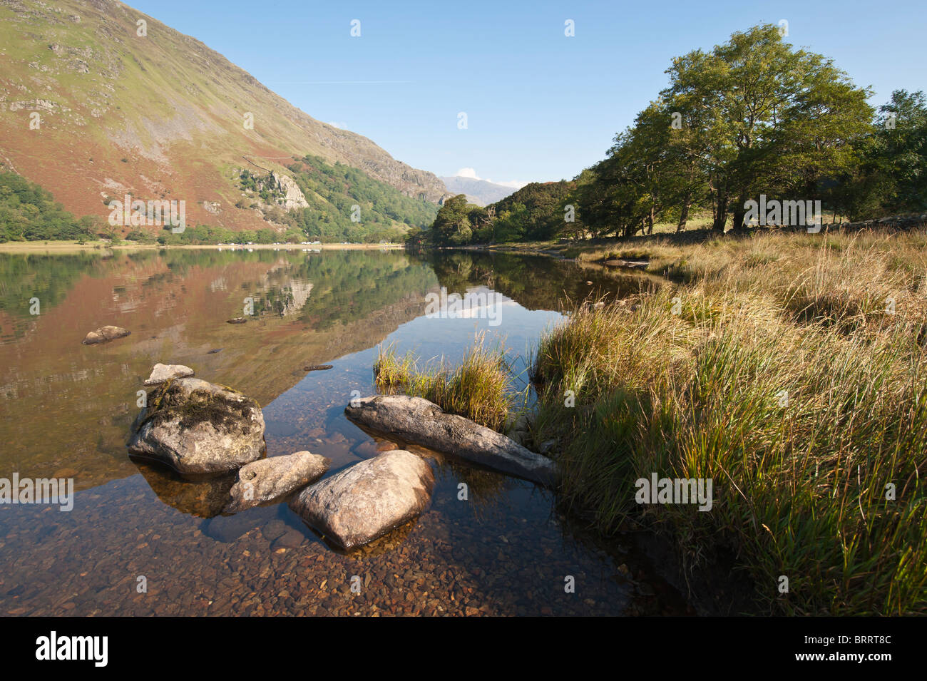 Herbstnachmittag am Nant Gwynant Stockfoto