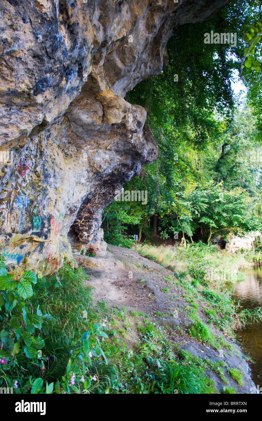 Dohle Crag Boston Spa West Yorkshire England Stockfoto