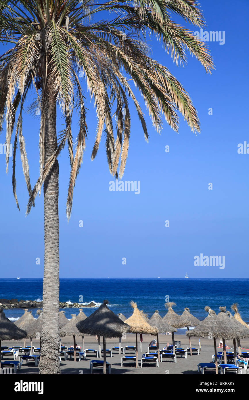 Kanarischen Inseln, Teneriffa, Playa de Las Americas Stockfoto