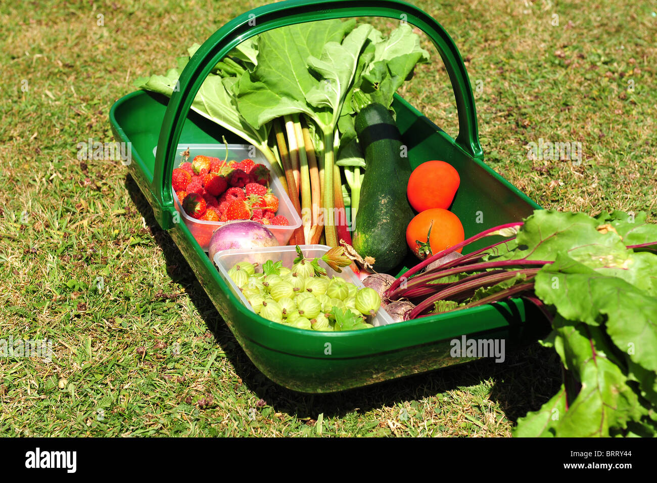Gärtner Trug gefüllt mit frischem Obst und Gemüse. Stockfoto