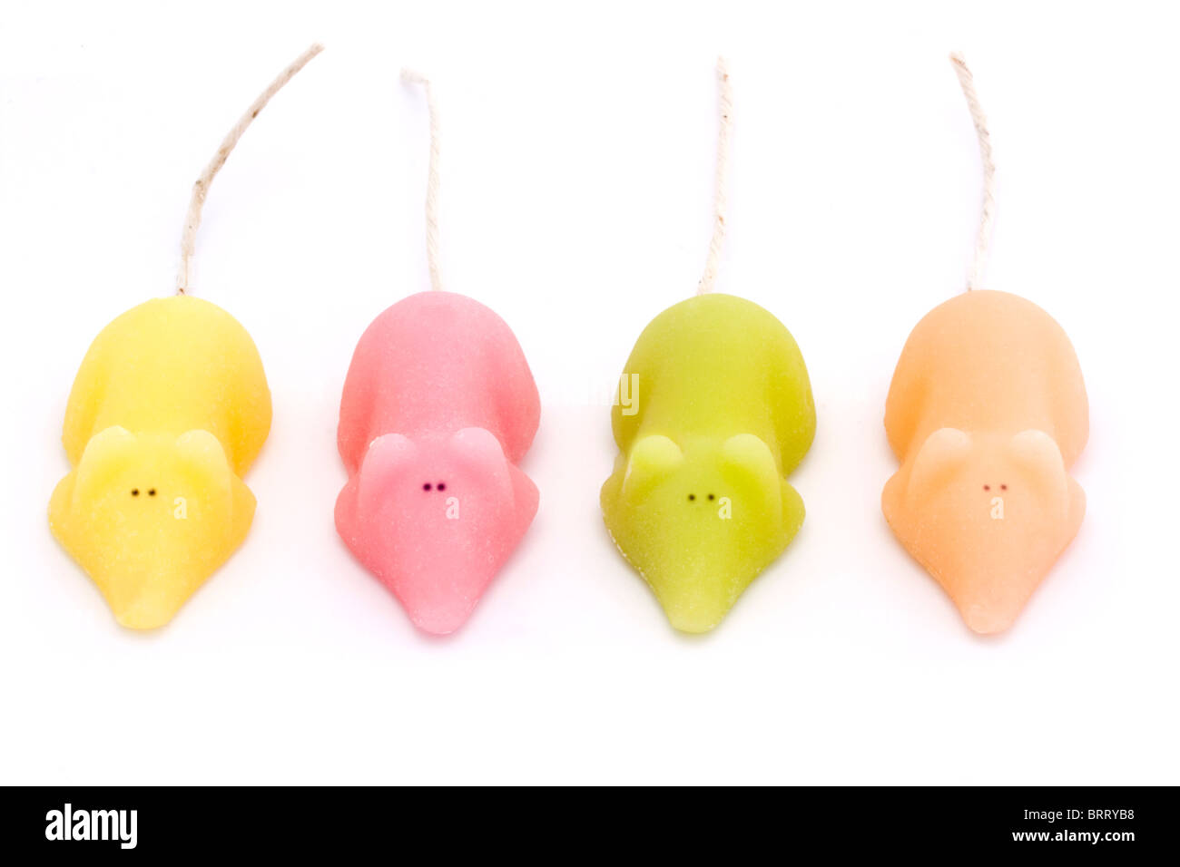 vier farbige Zucker Mäuse auf einem weißen Hintergrund weiß Stockfoto