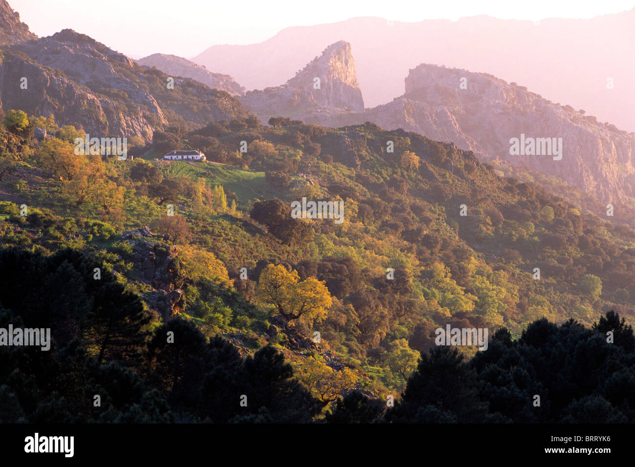 Sierra de Grazalema, Naturpark Grazalema, Andalusien, Spanien, Europa Stockfoto