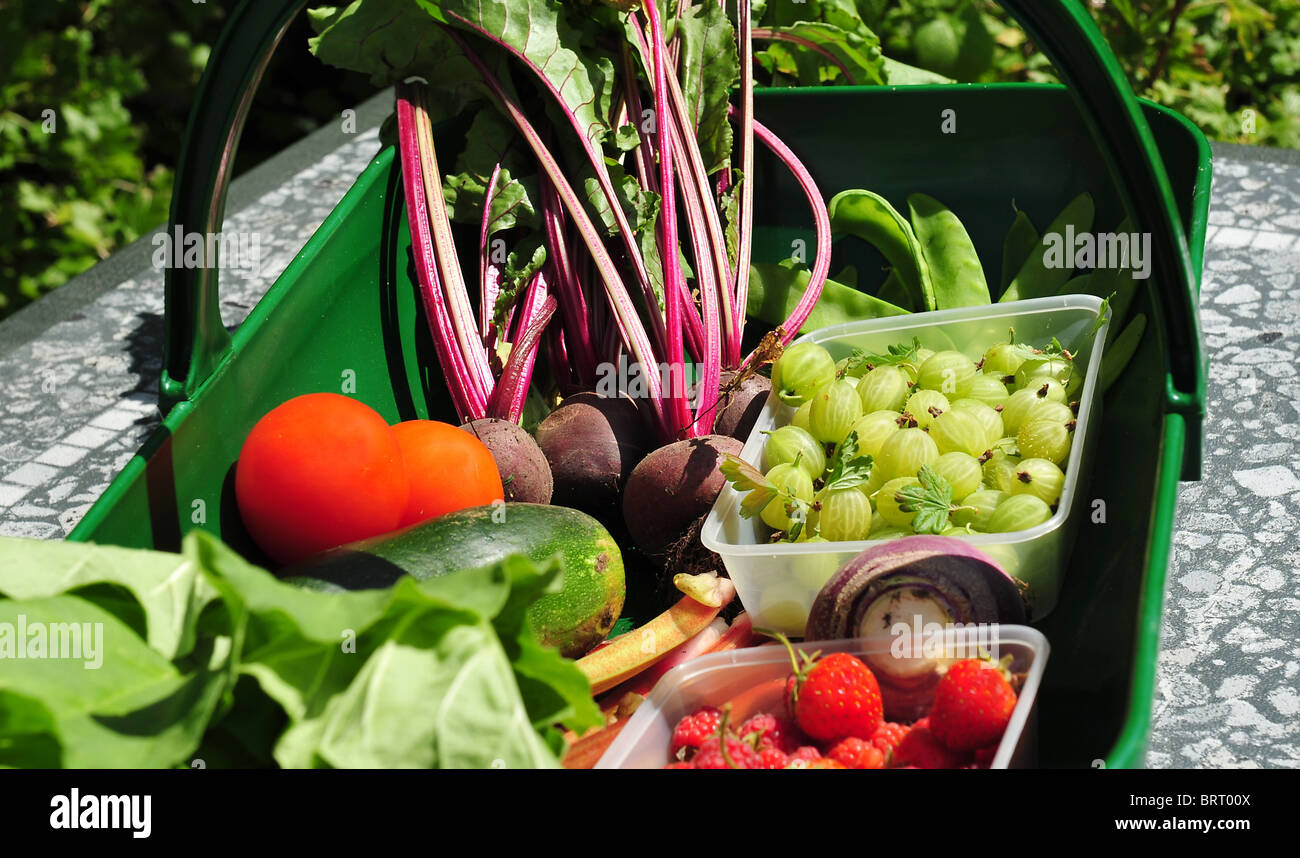 Gärtner Trug gefüllt mit frischem Obst und Gemüse. Stockfoto