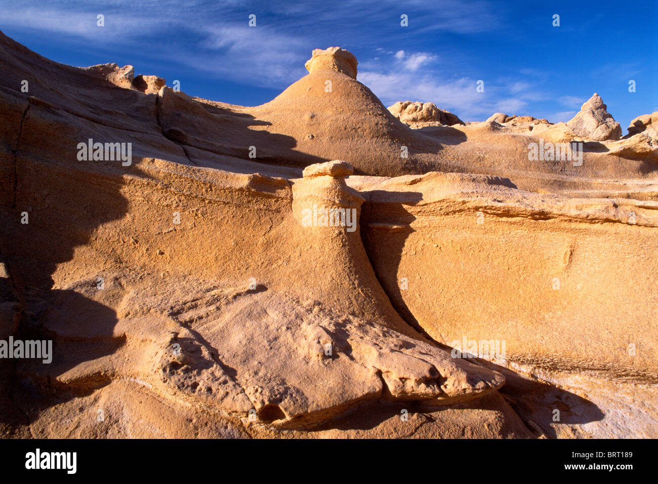 Sandstein-Strukturen in Cabo de Gata-Níjar Natural Park, Almeria, Andalusien, Spanien, Europa Stockfoto