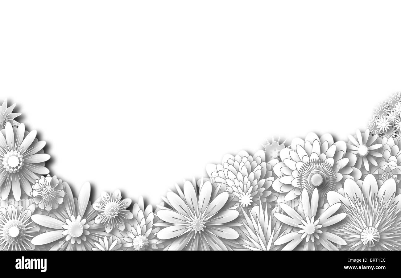 Illustrierte Vordergrund verschiedene weiße Blumen Stockfoto