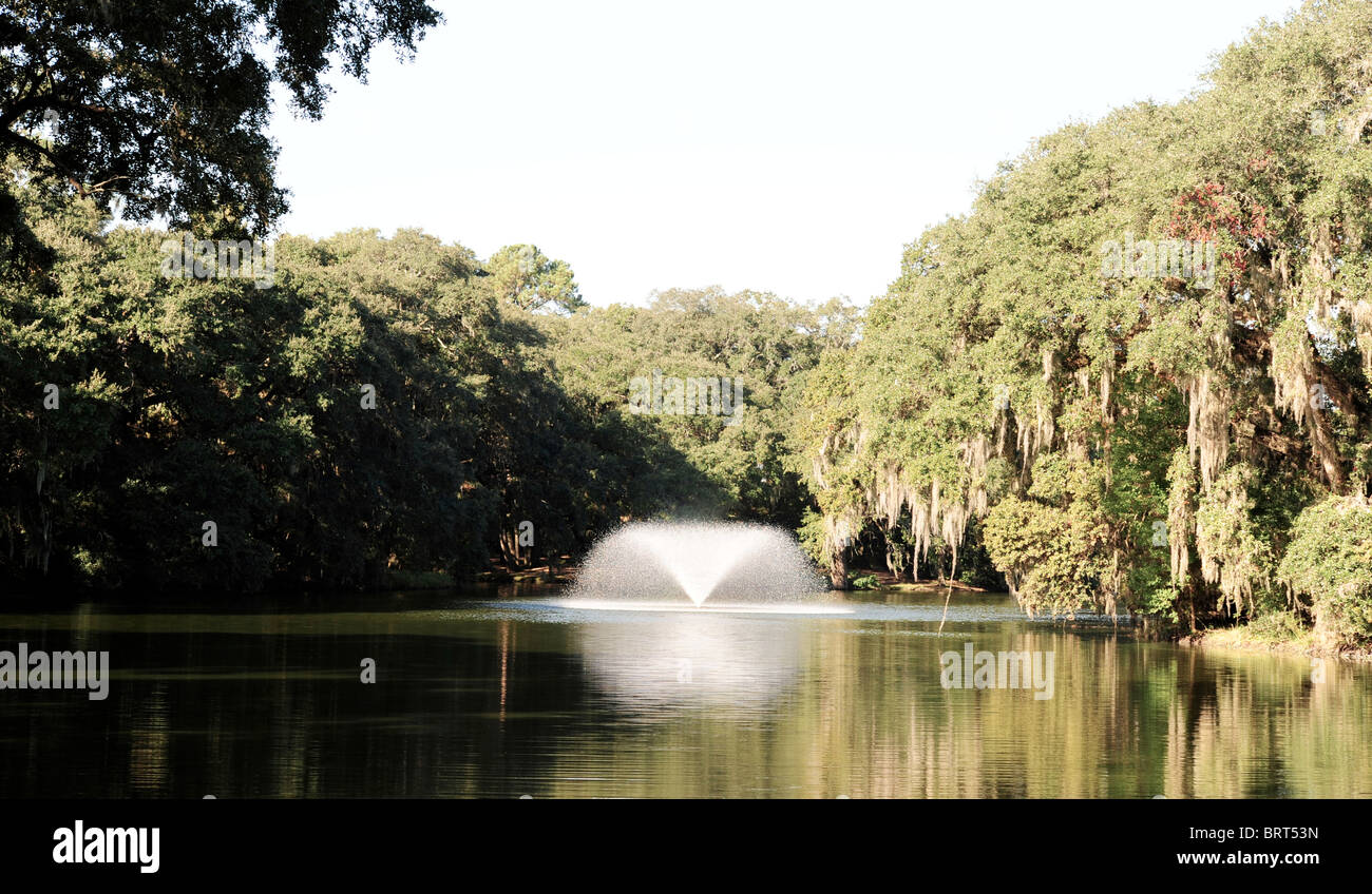Brunnen im Sumpf bei Charleston Landung, SC State Park, USA Stockfoto