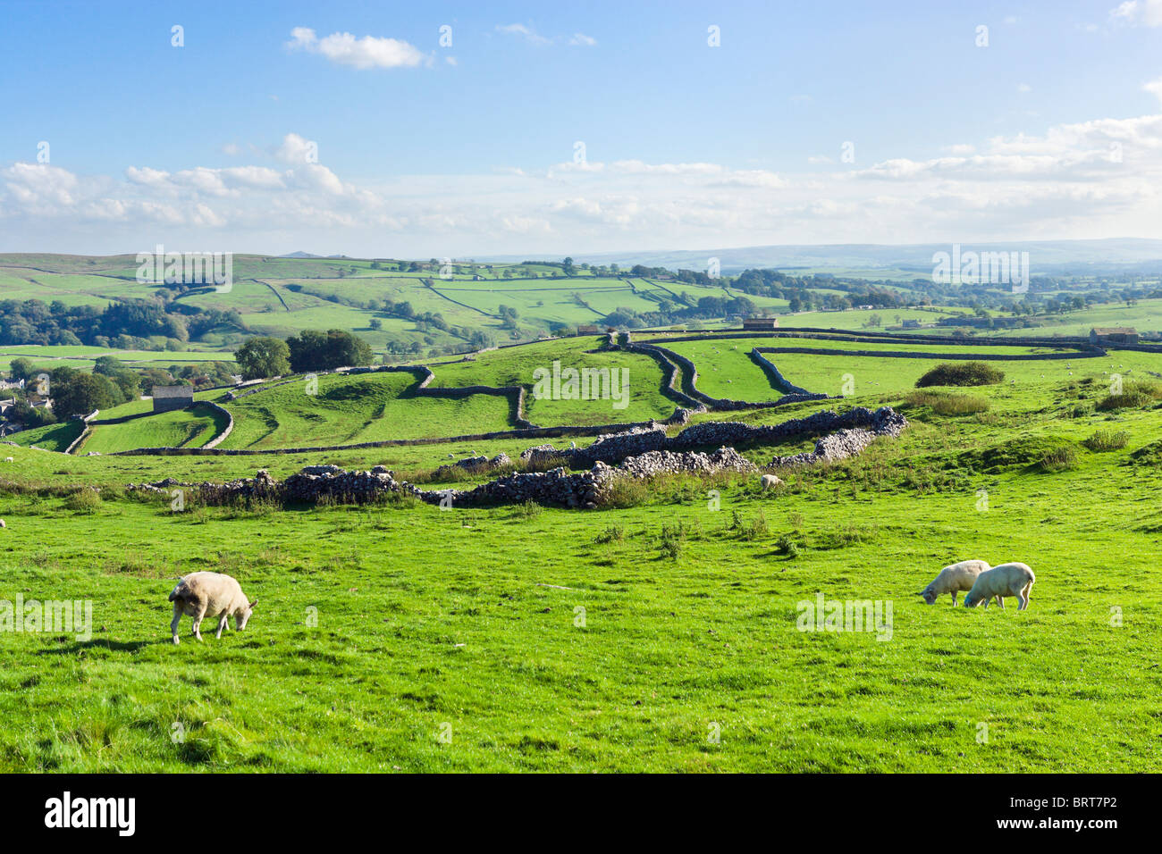 Ackerland über dem Dorf von Malham, Wharfedale, Yorkshire Dales National Park, England, UK Stockfoto