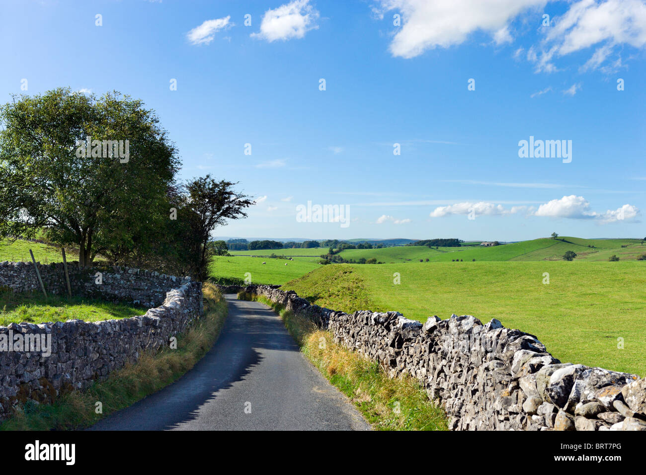 Landstraße zwischen Airton und Hetton, Wharfedale, Yorkshire Dales National Park, England, UK Stockfoto