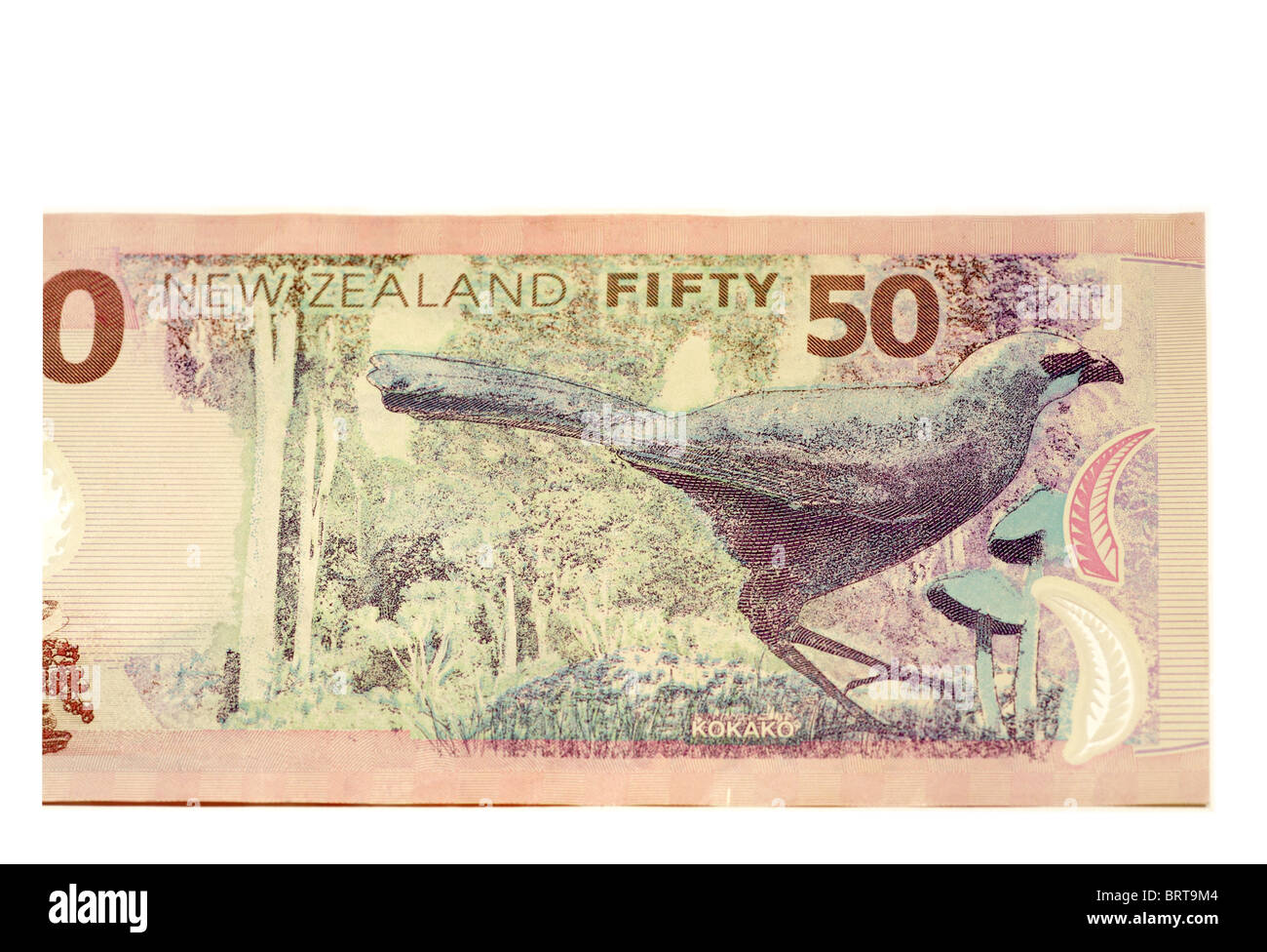 Abschnitt von New Zealand 50 Dollar $ Banknoten Stockfoto