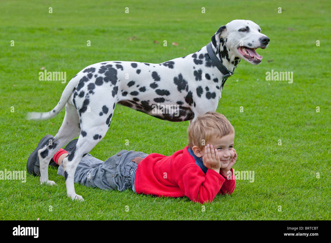 Porträt eines kleinen Jungen liegen unter seinen Dalmatiner Stockfoto