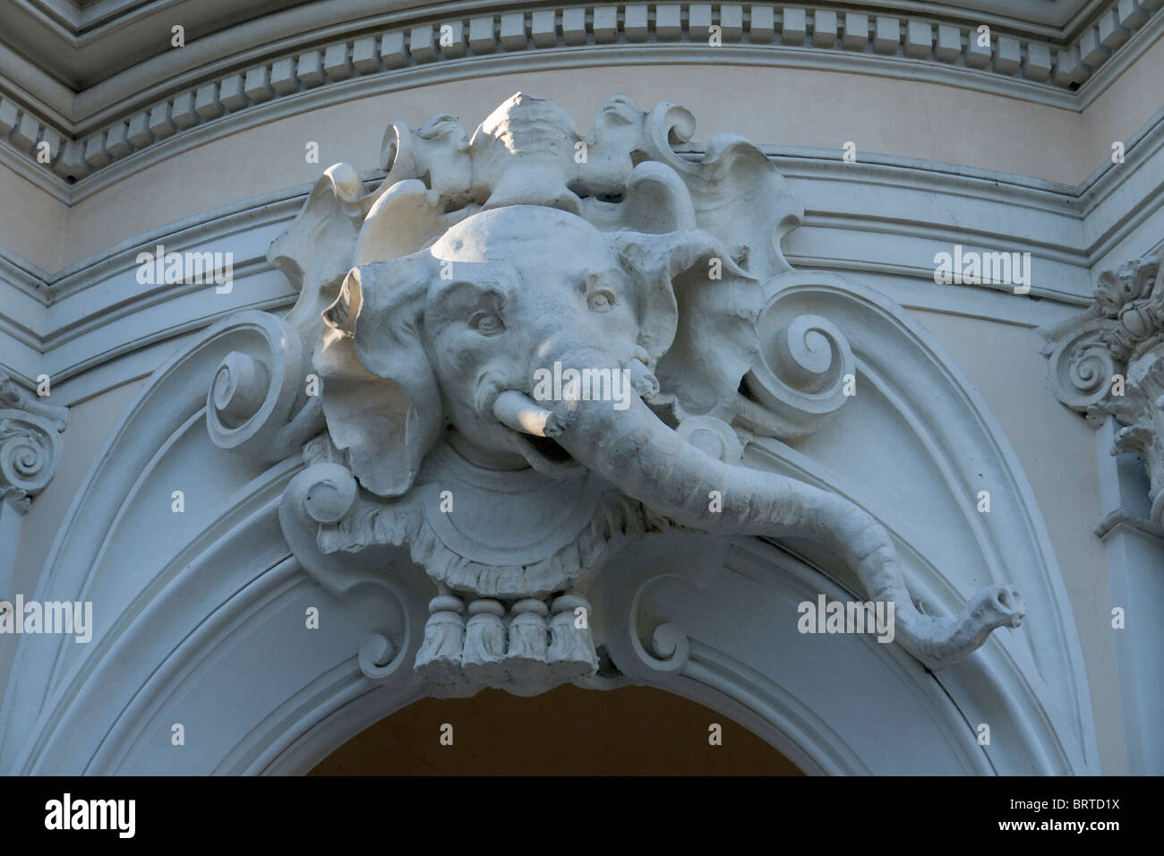 Detail vom Eingang in den römischen Zoo mit Elefantenkopf, Rom Stockfoto
