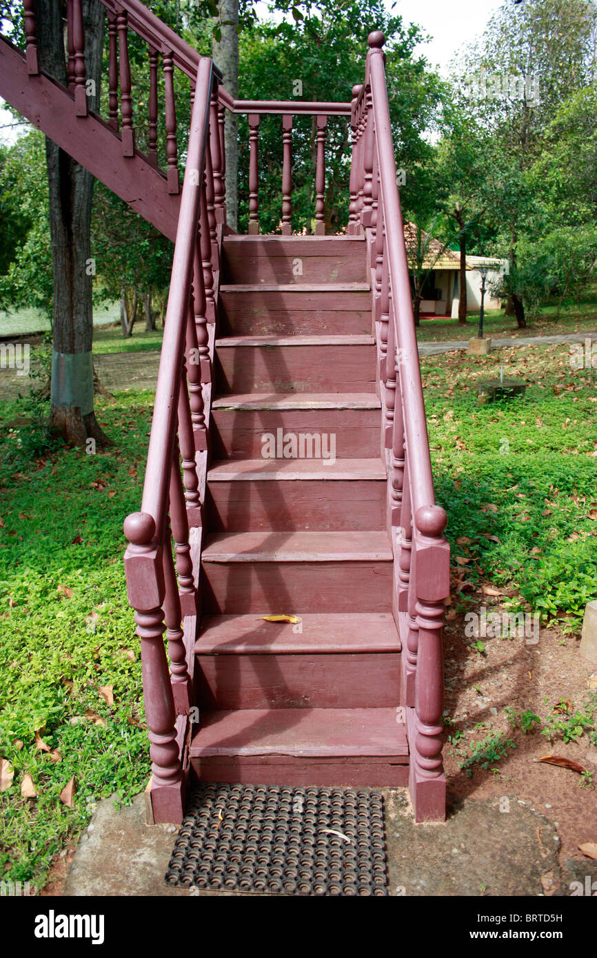 Künstlerische Holztreppe führt in ein Baumhaus Top Zelt Stockfoto