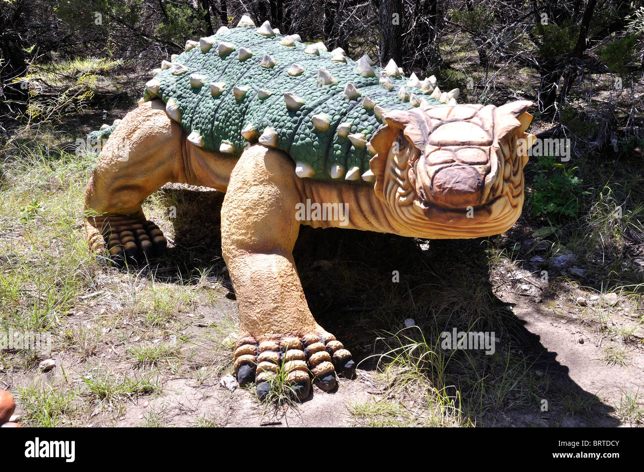 Silvisaurus, Dinosaur World, Glen Rose, Texas, USA Stockfoto