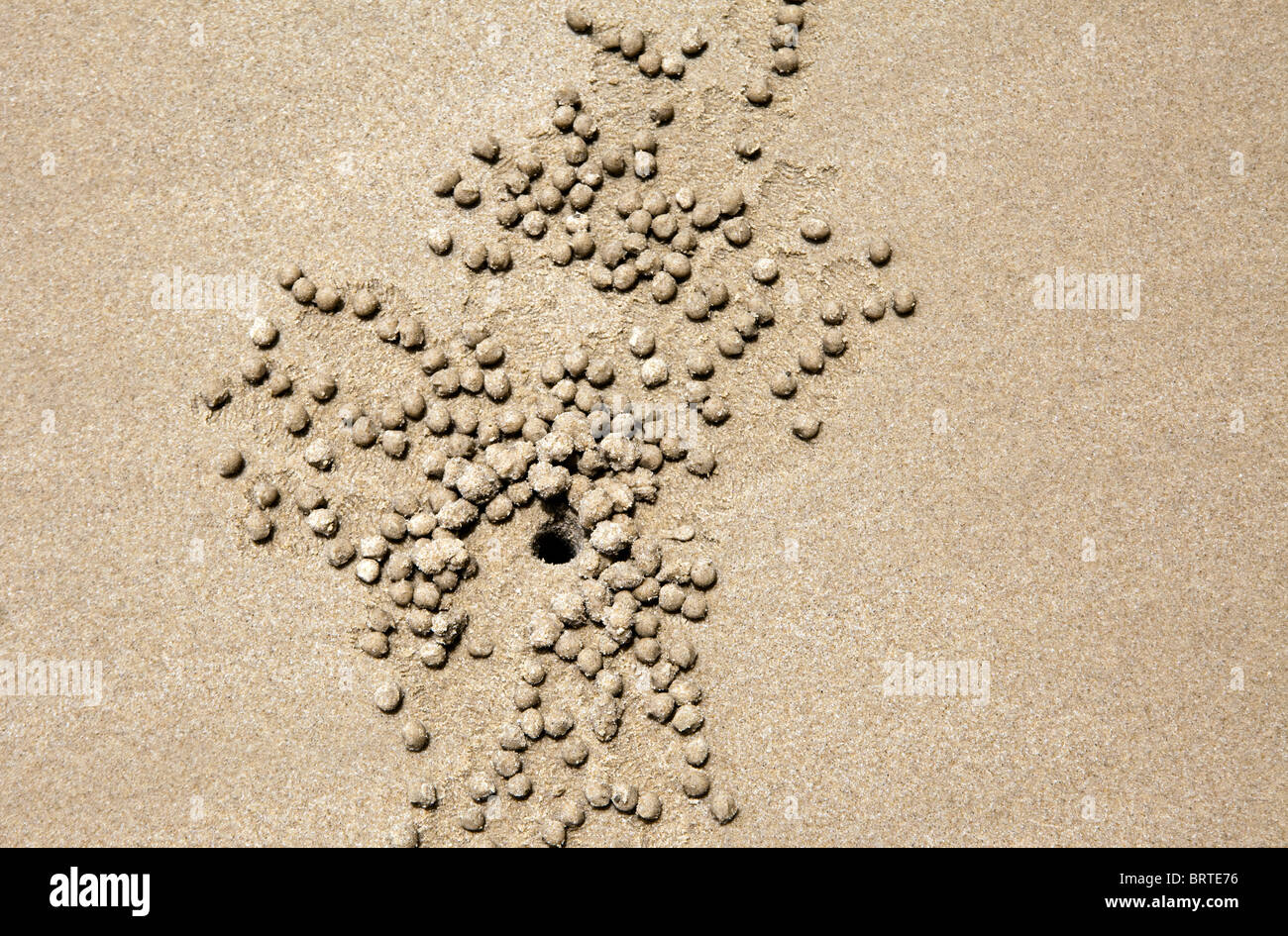 Krabbe Löcher sind zu sehen in den Sand am Strand von Borneo, Malaysia Stockfoto