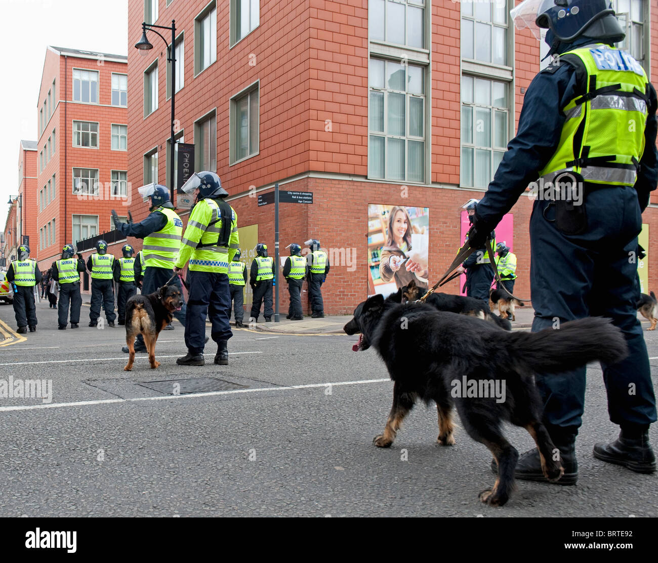 Polizeihund Einheit Wache stehen als The English Defence League demonstrieren in Leicester. 9. Oktober 2010. Stockfoto