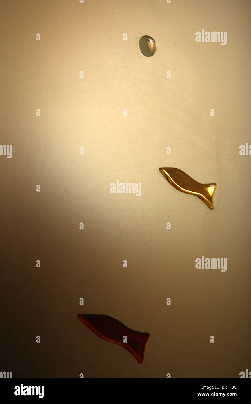 zwei braune Glas Fische gegen Licht Stockfoto