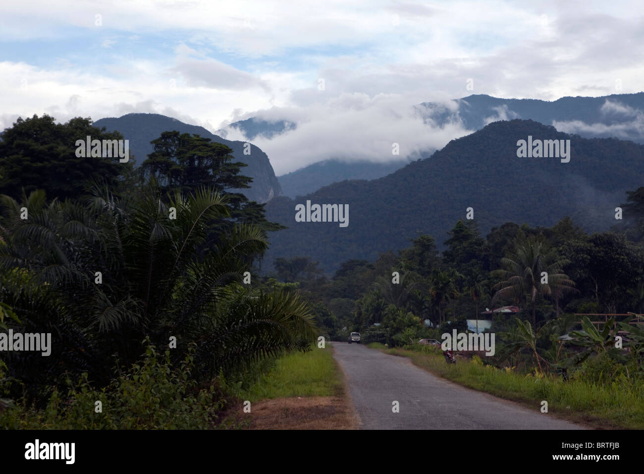 Eine Straße ist vor Bergen im Mulu National Park in Borneo, Malaysia gesehen. Stockfoto