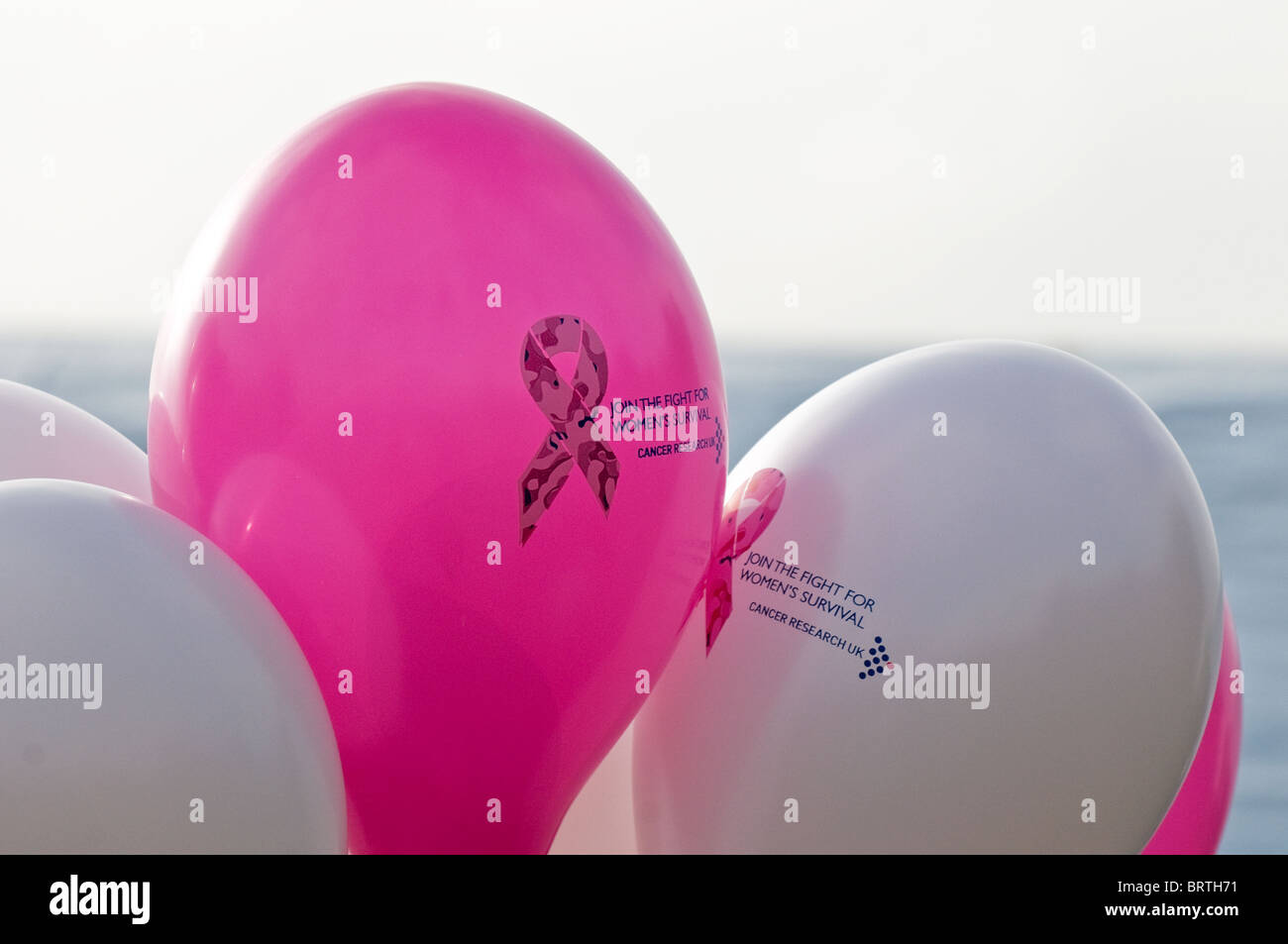 Luftballons an der Thorndon Stride in Hilfe von Cancer Research UK. Stockfoto