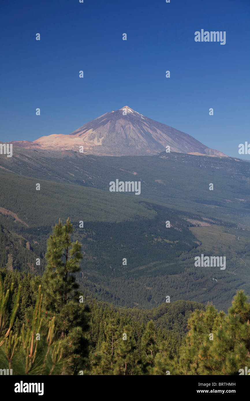 Kanarischen Inseln, Teneriffa, Parque Nacional del Teide (Teide-Nationalpark), der UNESCO, Mt. Teide Stockfoto