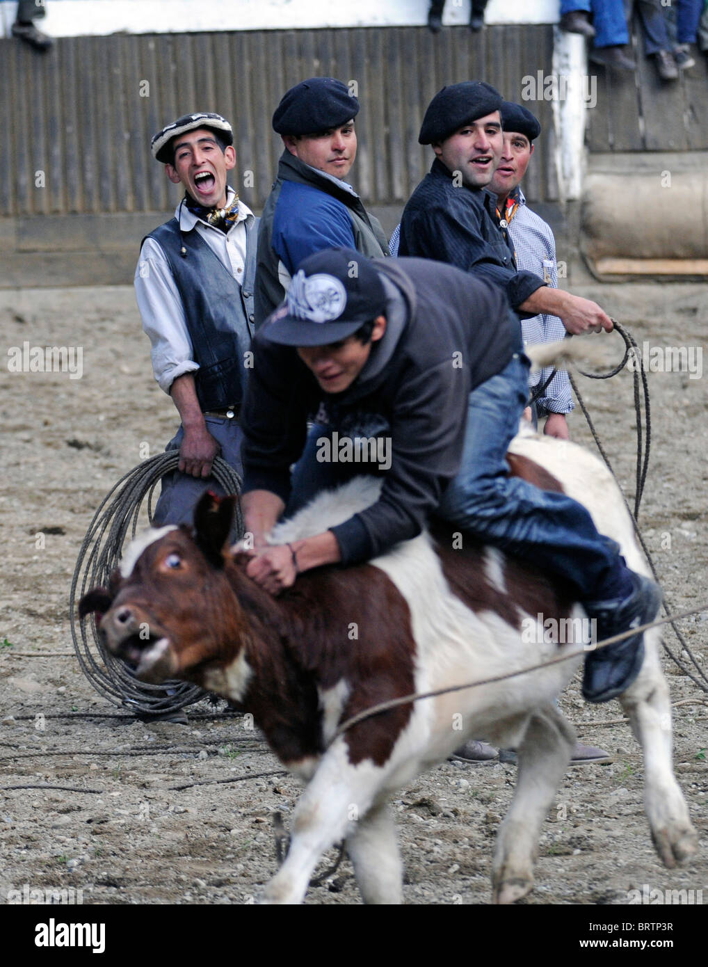 Szenen von Rodeo während der Feier in einer ländlichen Gemeinde südlich von Cochrane in Patagonien, Südchile. Stockfoto